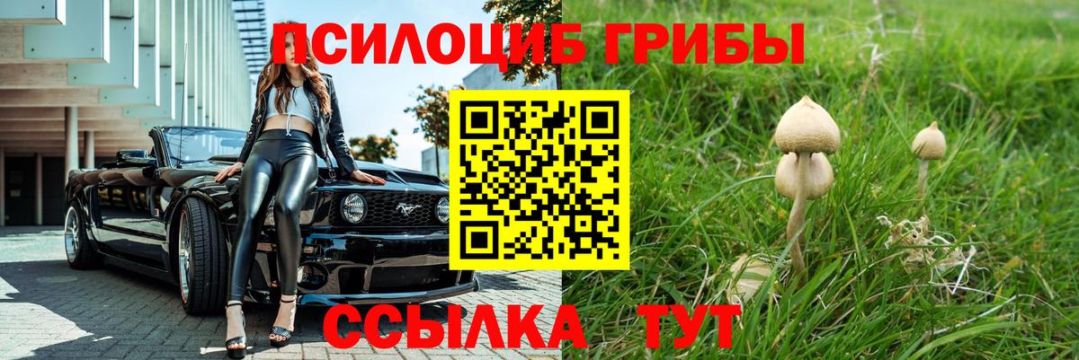 Чебоксары  где продают   Вход с VPN  Галлюциногенные грибы Psilocybe 