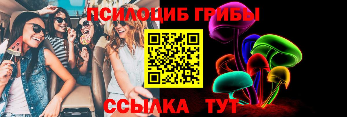 Галлюциногенные грибы GOLDEN TEACHER Чебоксары